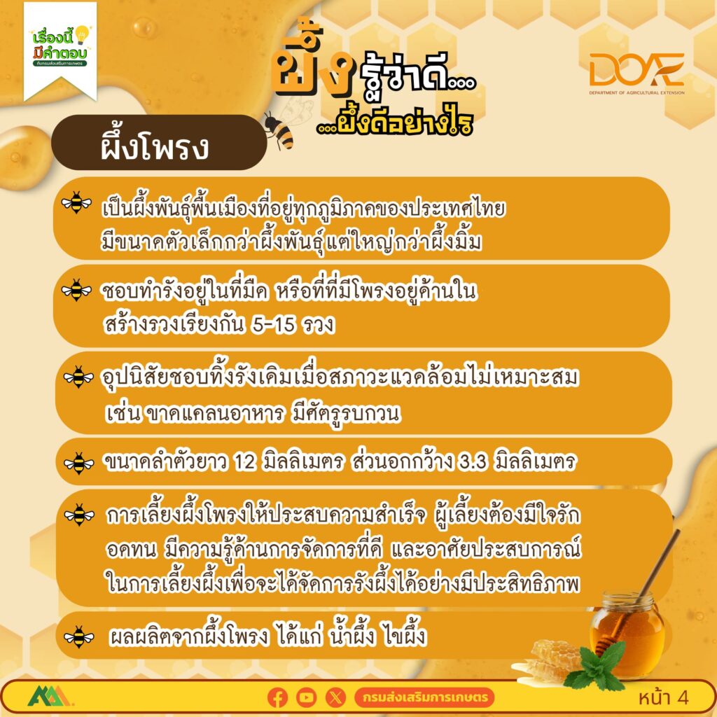 ผึ้งรู้ว่าดี…ผึ้งดีอย่างไร