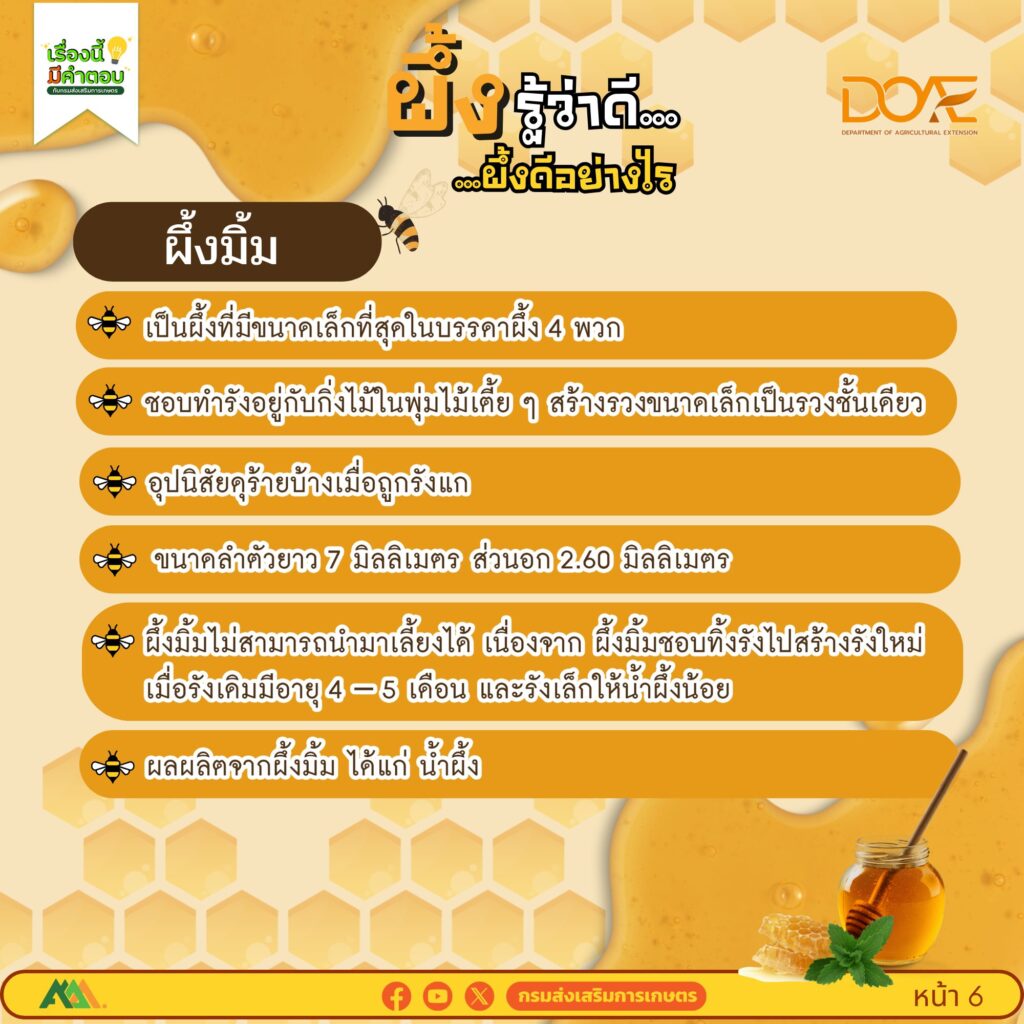ผึ้งรู้ว่าดี…ผึ้งดีอย่างไร