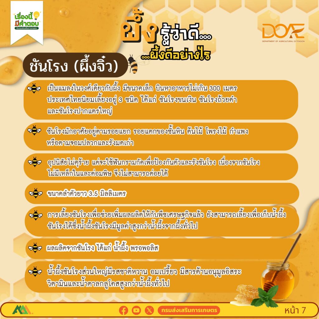 ผึ้งรู้ว่าดี…ผึ้งดีอย่างไร