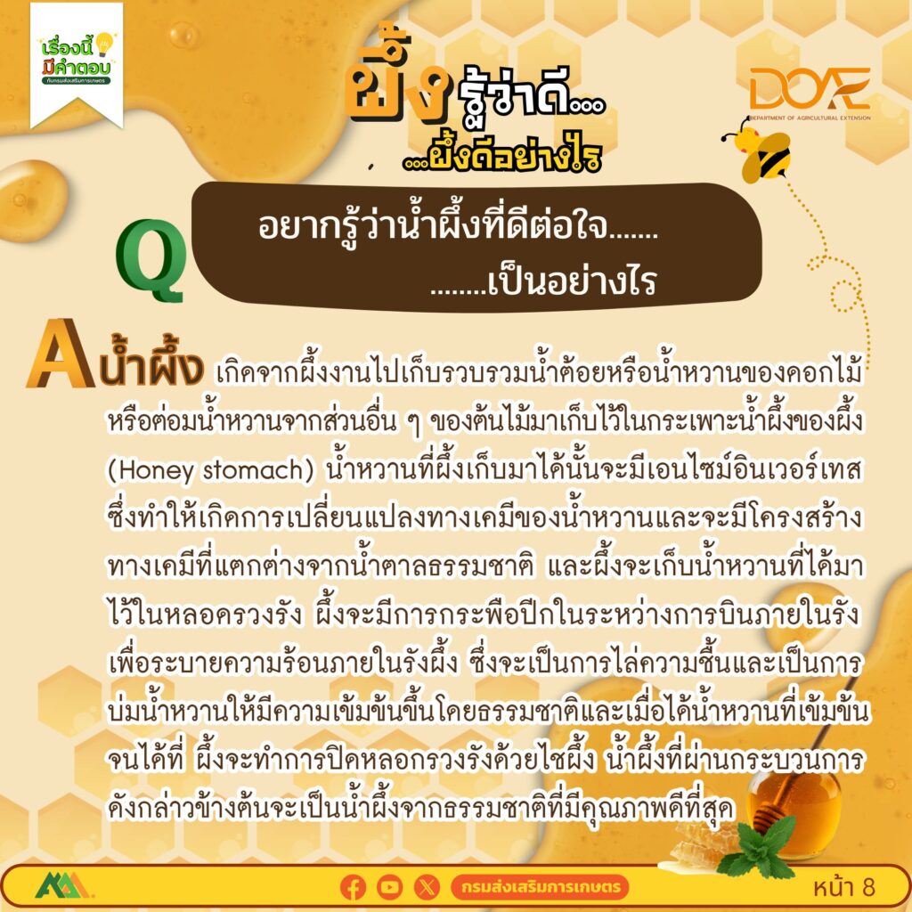 ผึ้งรู้ว่าดี…ผึ้งดีอย่างไร