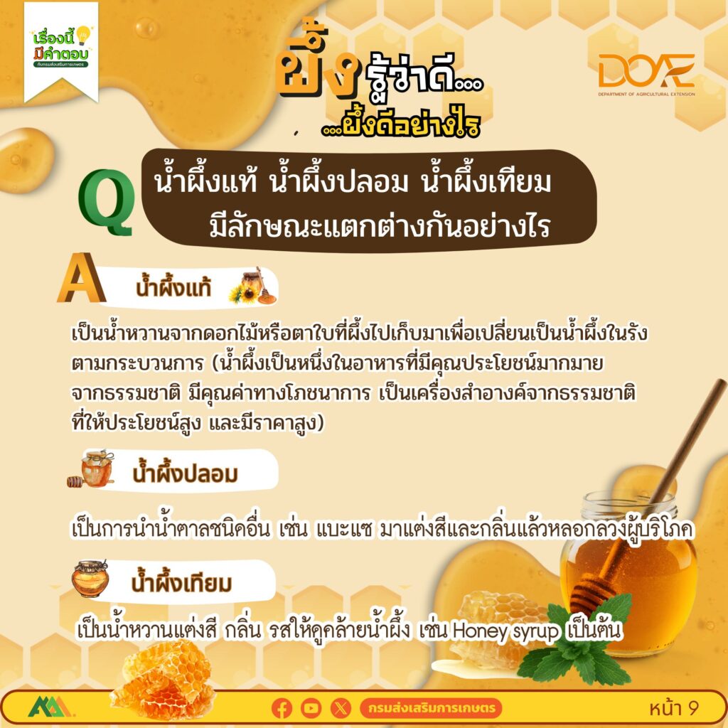 ผึ้งรู้ว่าดี…ผึ้งดีอย่างไร
