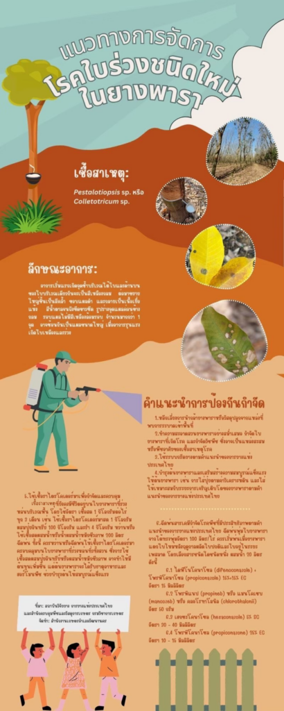 แนวทางการจัดการโรคใบร่วงชนิดใหม่ในยางพารา แนวทางการจัดการโรคใบร่วงชนิดใหม่ในยางพารา