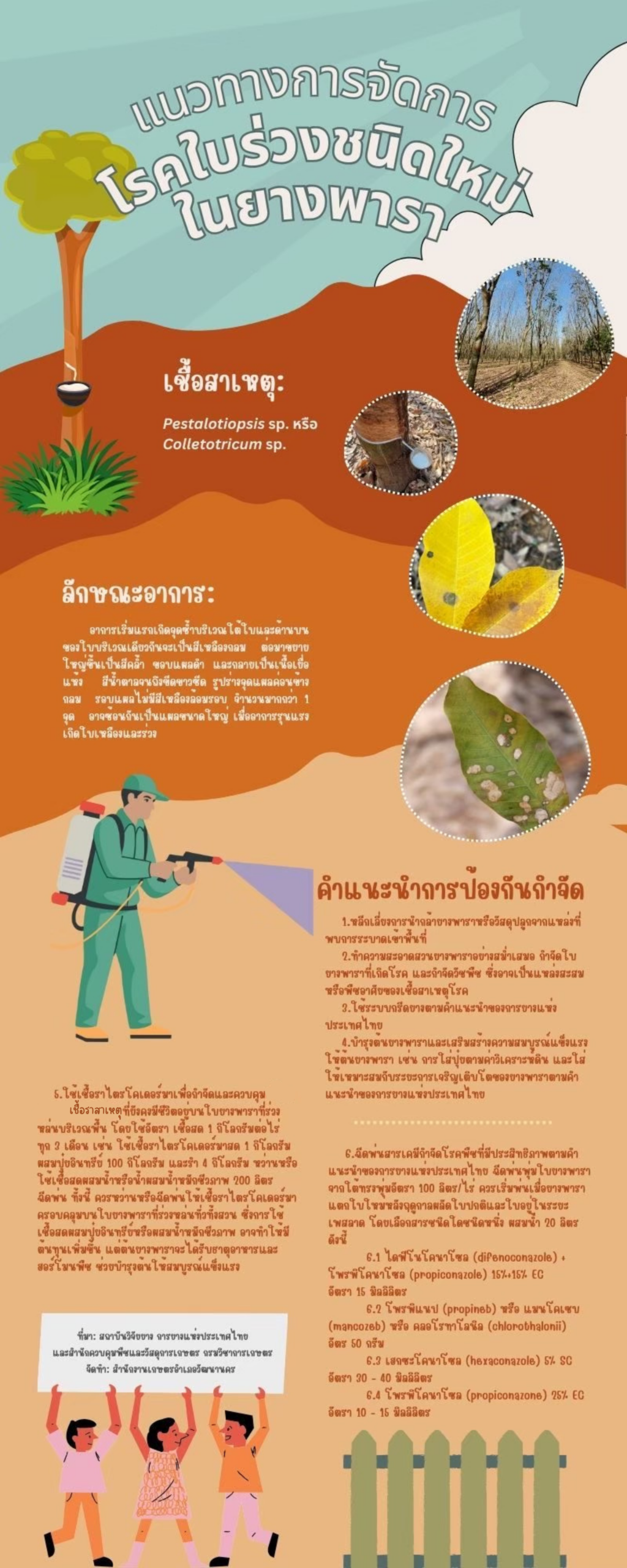 แนวทางการจัดการโรคใบร่วงชนิดใหม่ในยางพารา แนวทางการจัดการโรคใบร่วงชนิดใหม่ในยางพารา