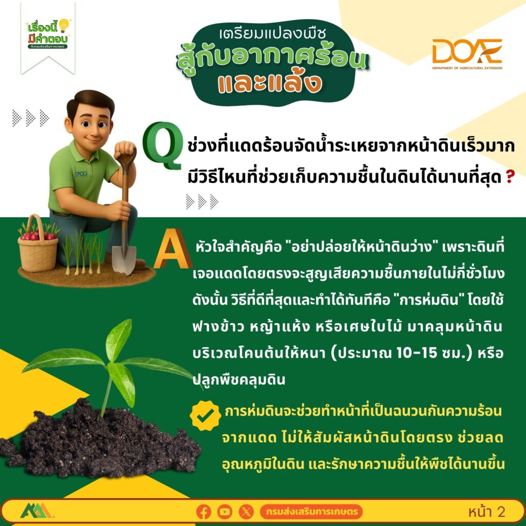 เตรียมแปลงพืชสู้กับอากาศร้อนและแล้ง