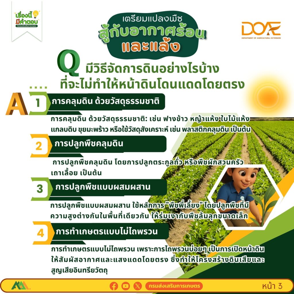 เตรียมแปลงพืชสู้กับอากาศร้อนและแล้ง