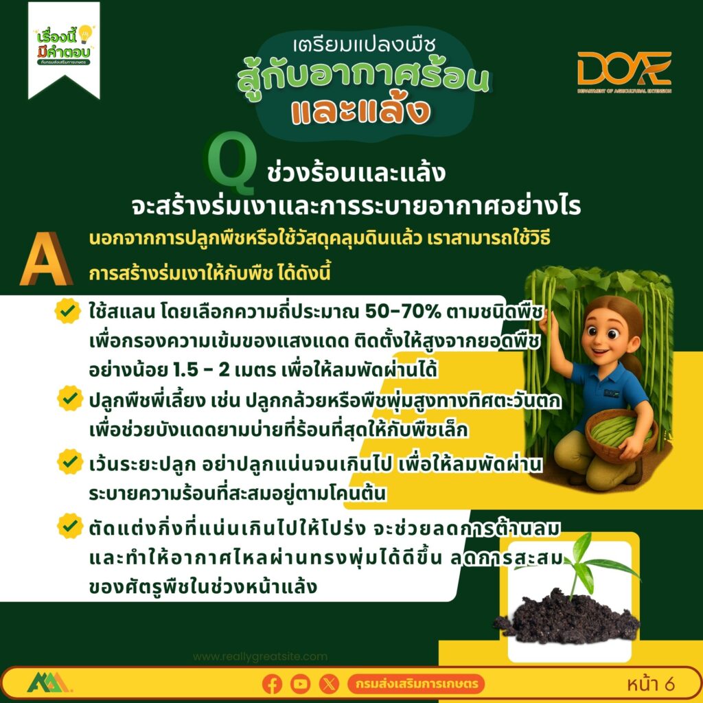 เตรียมแปลงพืชสู้กับอากาศร้อนและแล้ง