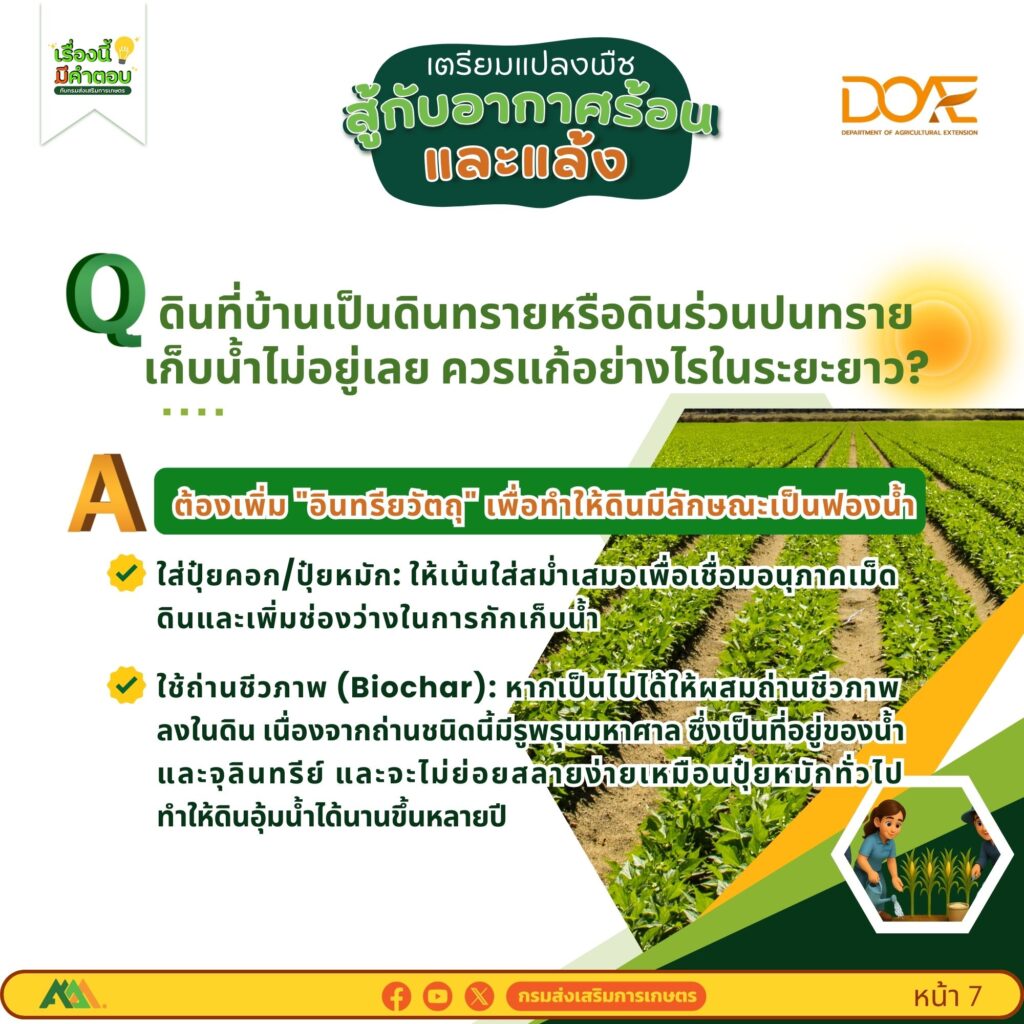 เตรียมแปลงพืชสู้กับอากาศร้อนและแล้ง