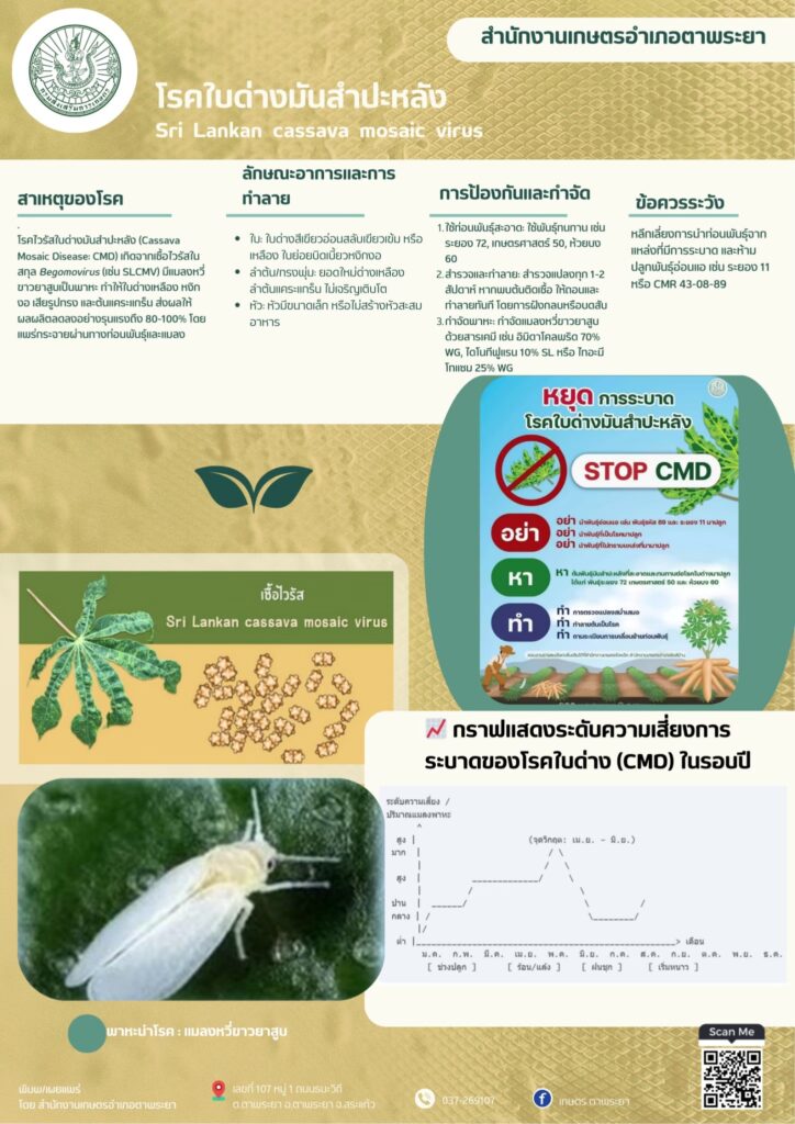โรคใบด่างมันสำปะหลัง (Sri Lankan cassava mosaic virus) โรคใบด่างมันสำปะหลัง (Sri Lankan cassava mosaic virus)