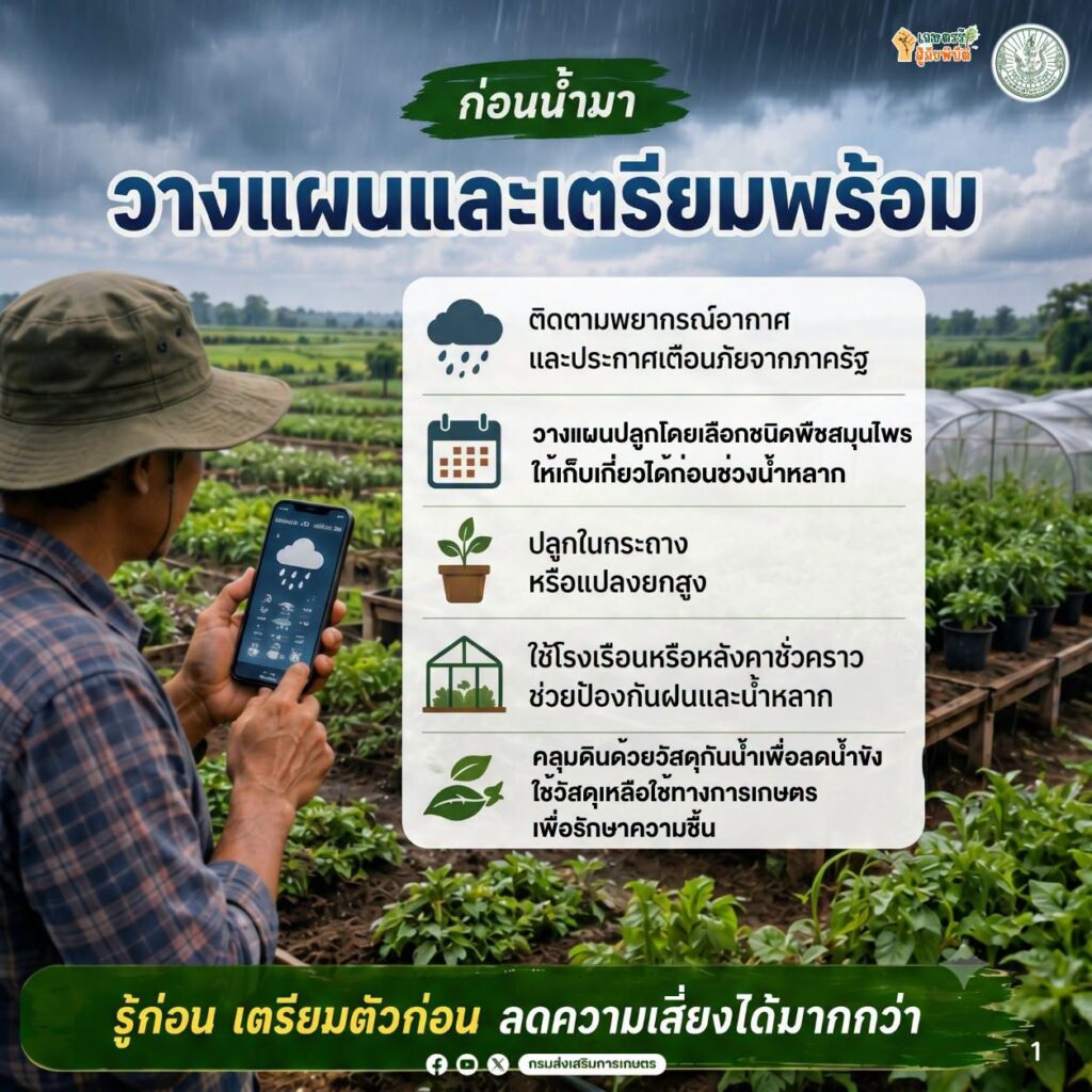 รับมือน้ำท่วมสมุนไพร รับมือน้ำท่วมสมุนไพร