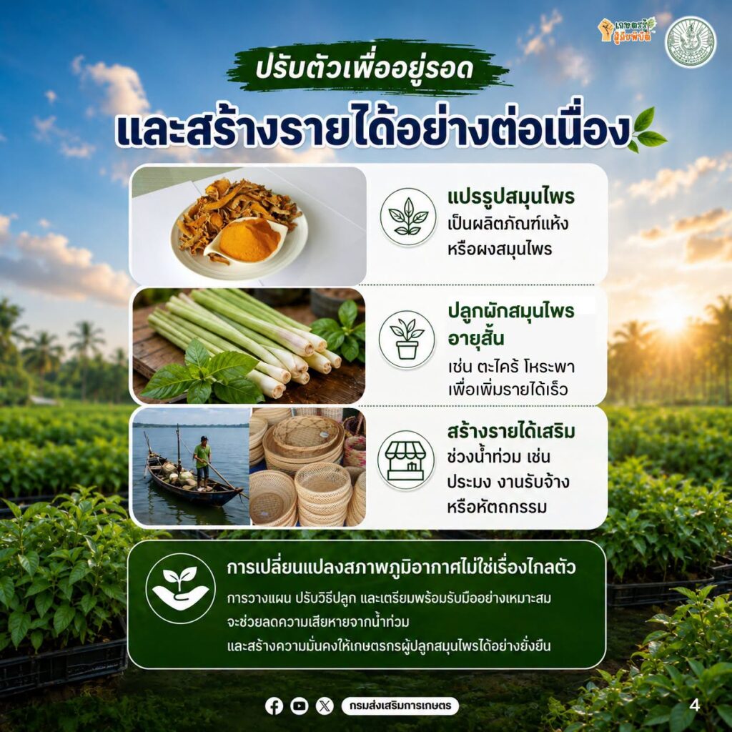 รับมือน้ำท่วมสมุนไพร รับมือน้ำท่วมสมุนไพร
