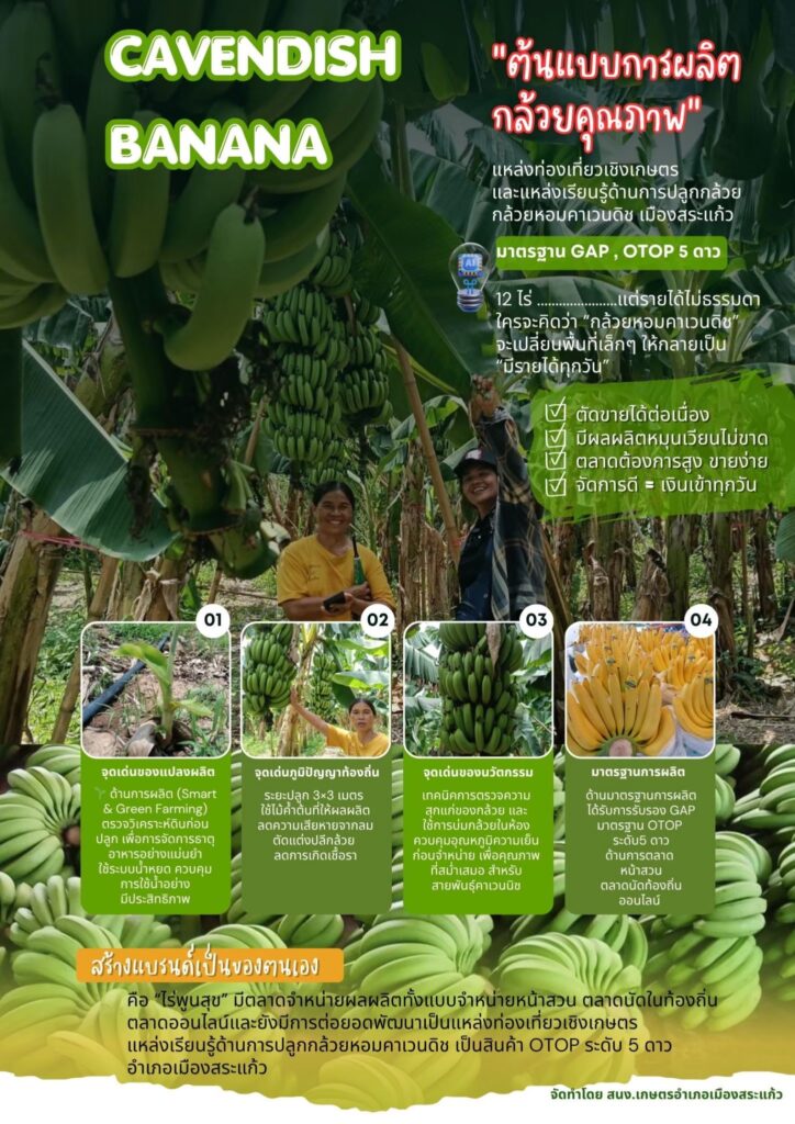 CAVENDISH BANANA “ต้นแบบการผลิตกล้วยคุณภาพ” CAVENDISH BANANA “ต้นแบบการผลิตกล้วยคุณภาพ”