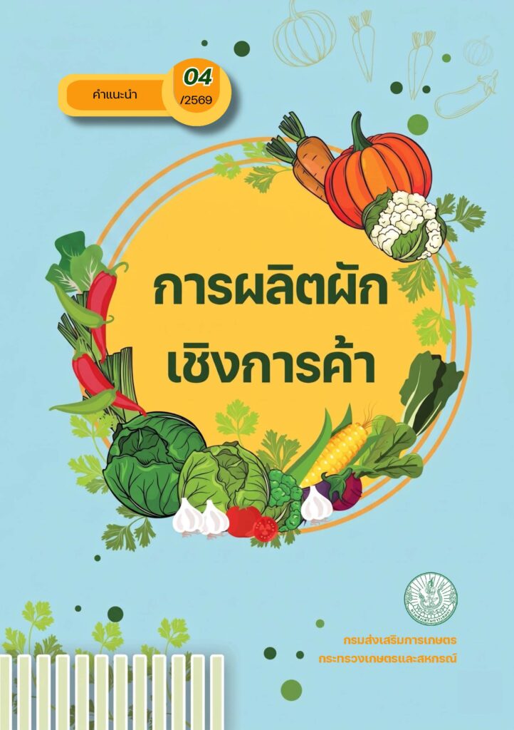 การผลิตผักเชิงการค้า การผลิตผักเชิงการค้า