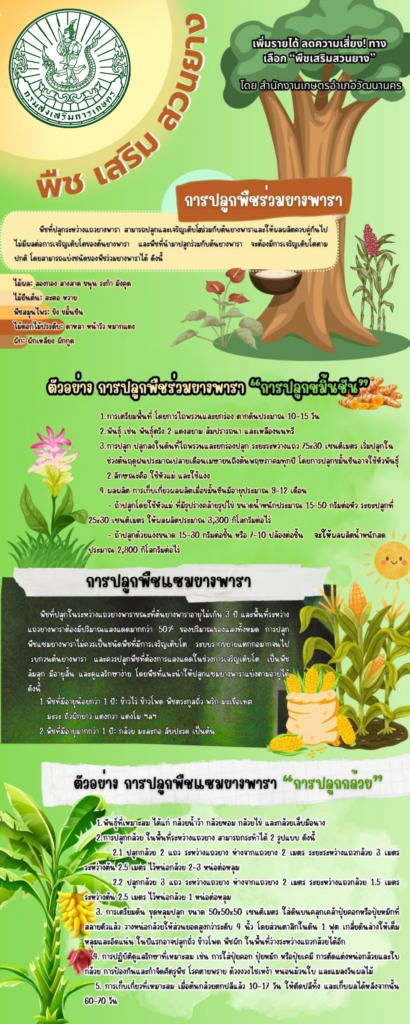 การปลูกพืชร่วมยางพารา การปลูกพืชร่วมยางพารา