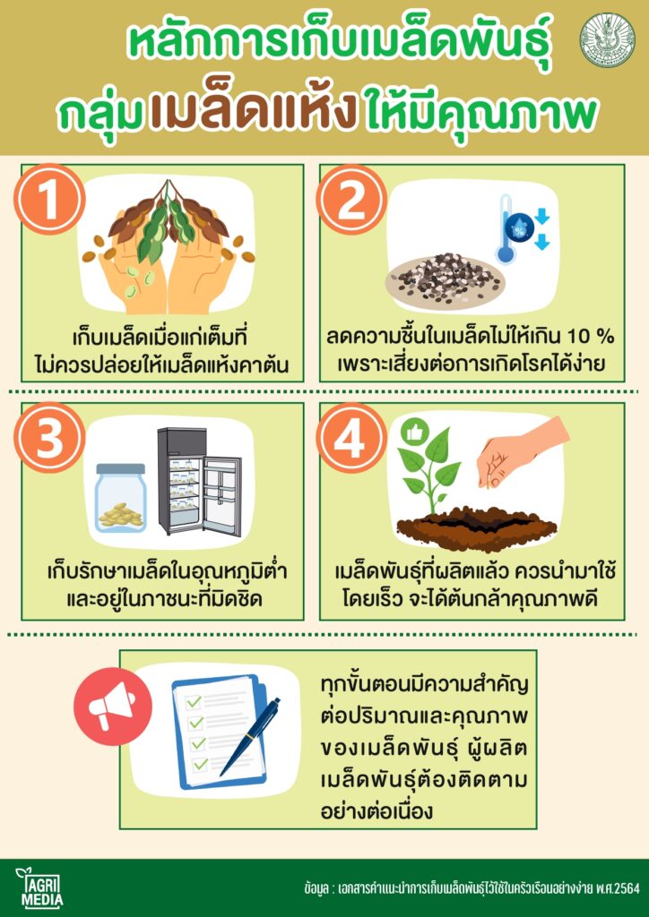 เก็บเมล็ดแห้ง