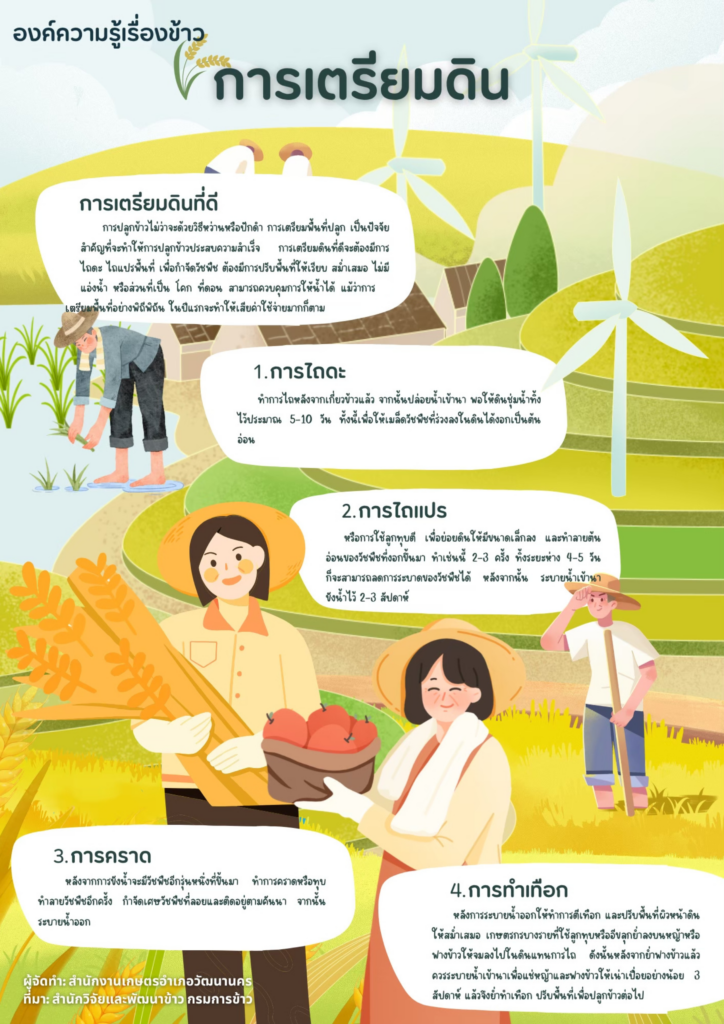 องค์ความรู้เรื่องข้าว “การเตรียมดิน” องค์ความรู้เรื่องข้าว “การเตรียมดิน”