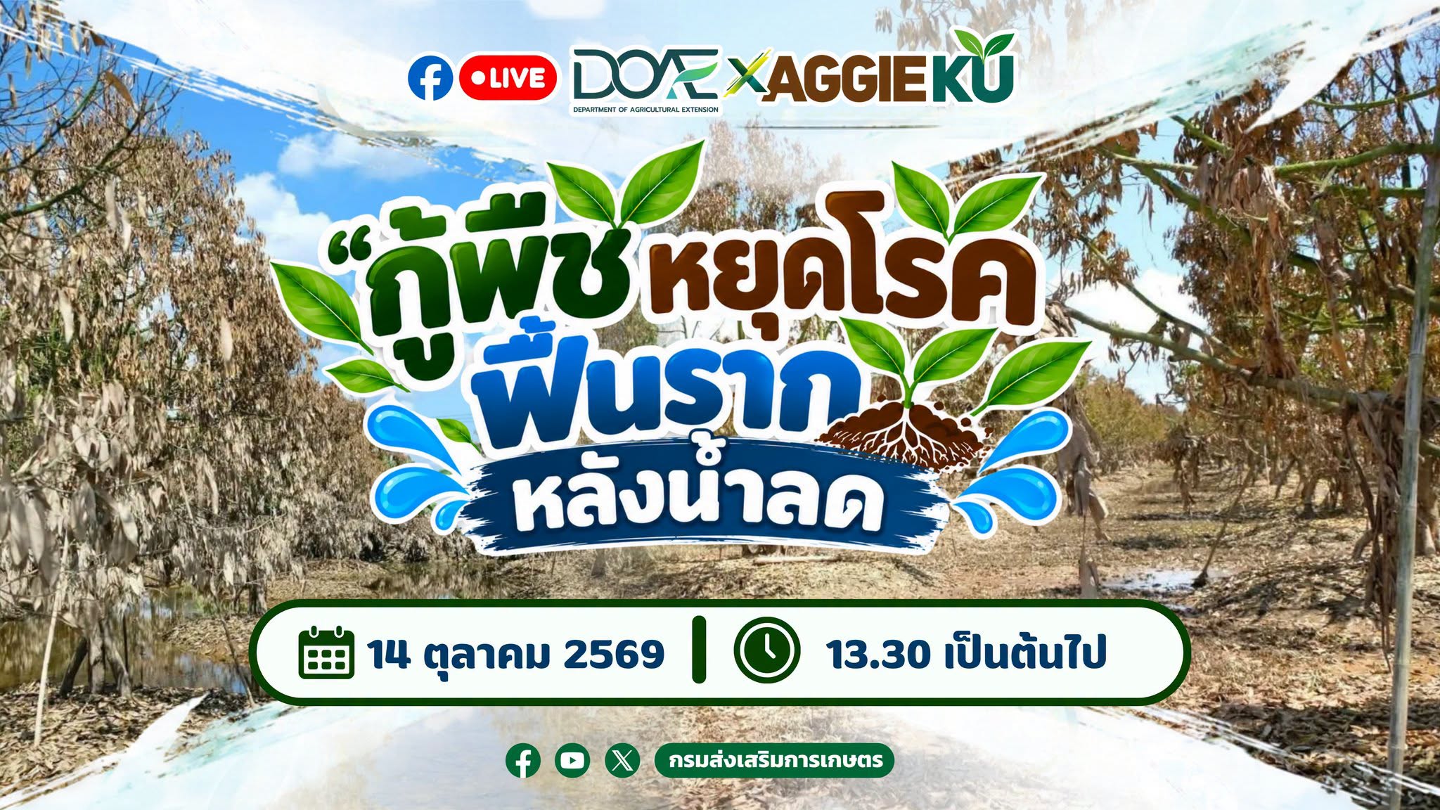 ศูนย์วิทยบริการเพื่อส่งเสริมการเกษตร