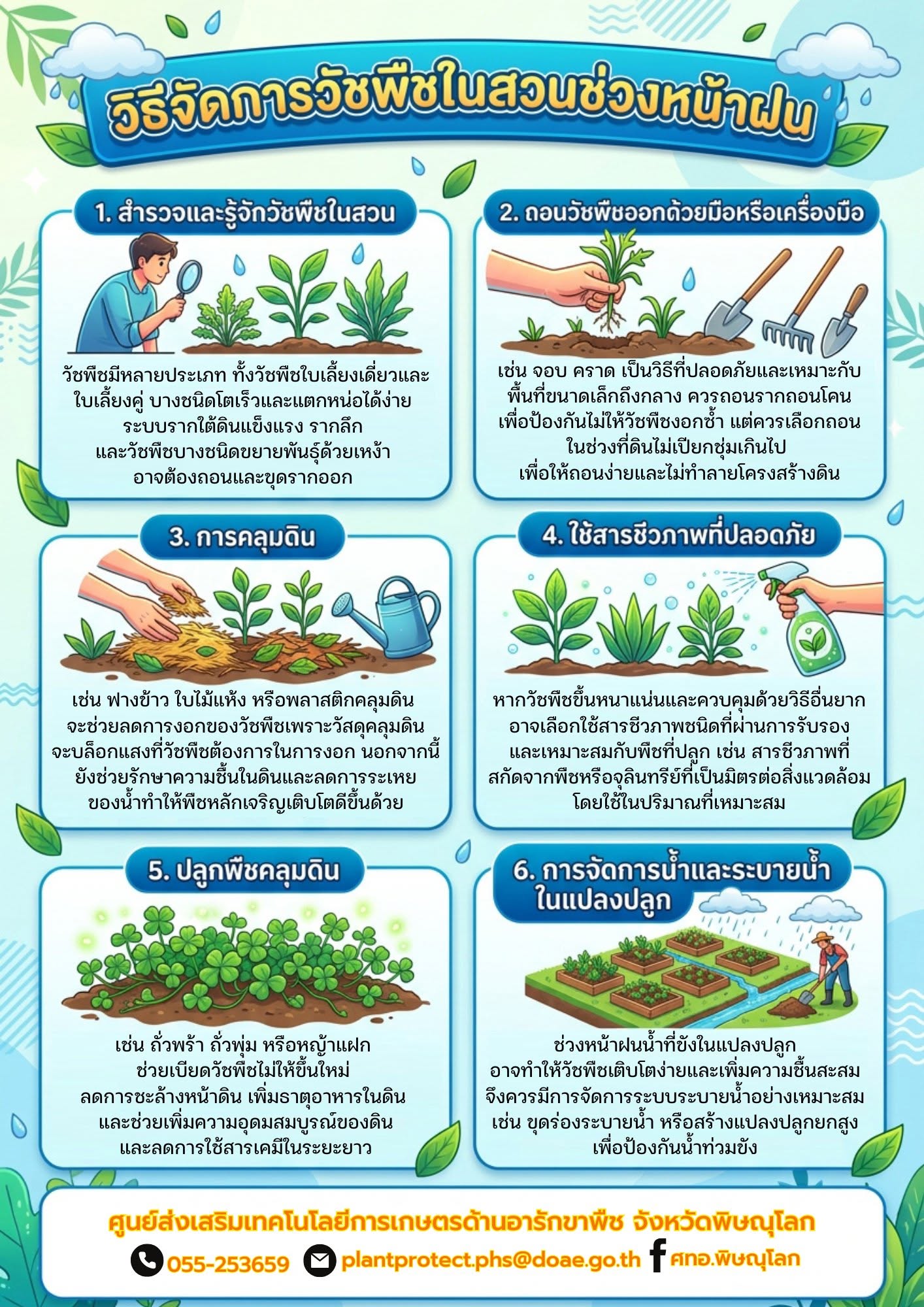 วิธีจัดการวัชพืชในสวนช่วงหน้าฝน