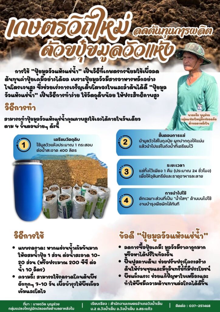 เกษตรวิถีใหม่ ลดต้นทุนการผลิต ด้วยปุ๋ยมูลวัวแห้ง